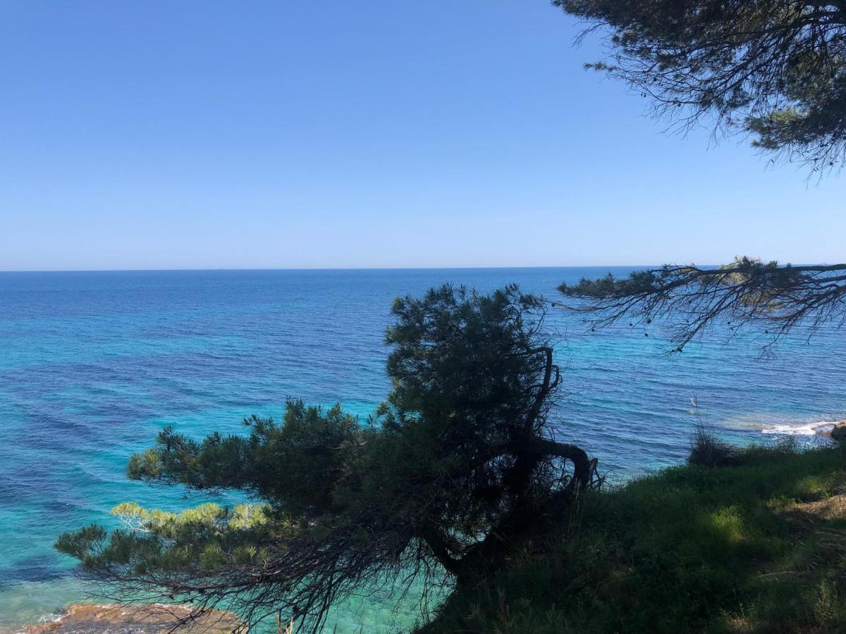 Fabiola 1 Daire Calp Dış mekan fotoğraf